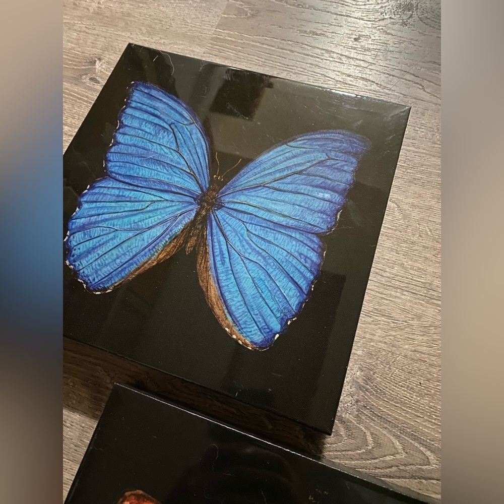 Butterfly Canvas Wall Art Set | Blue & Orange Nature Decor 12x12 - Picture 5 of 7